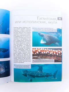 Большая красная книга: 1001 фотография 10