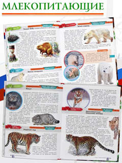 Красная книга России 4