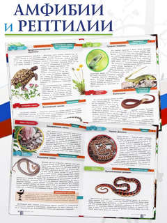 Красная книга России 5