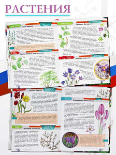 Красная книга России 8