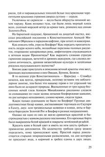 Посол III класса: Хроники времен Очаковских и покоренья Крыма 7