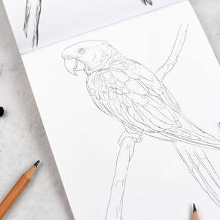 Мои скетчи: книжка-раскраска (животные) 7