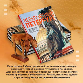 Невероятный Петербург: Самые красивые места Северной столицы и окрестностей 7