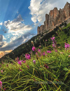 Тропами России: Самые впечатляющие пешеходные маршруты 14