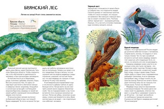 Заповедники России: 35 уникальных заповедников России, в фактах и иллюстрациях 7