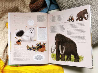 Животные России 10