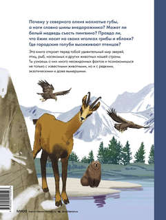 Животные России 2