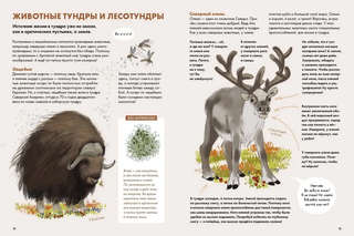 Животные России 3