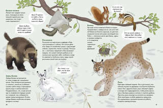 Животные России 5