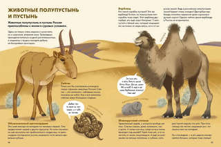 Животные России 7