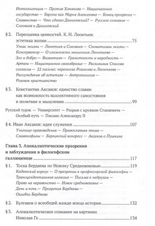Ценности и смыслы в галлюценозе русского сознания. 2-е издание 5