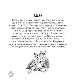 Раскраска-антистресс: Магическая Русь, Предания и мифы 13