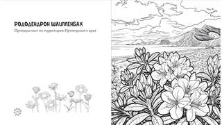 Раскраска-антистресс: Чарующие краски России, Страницы нежности и красоты 7