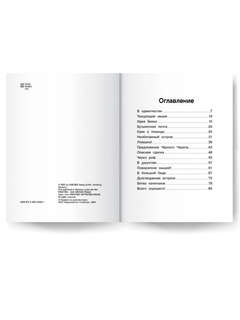 Крысы-пираты, Месть капитана пиратов: Книга 6 3