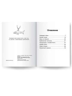 Крысы-пираты, Секрет болотной колдуньи: Книга 4 3