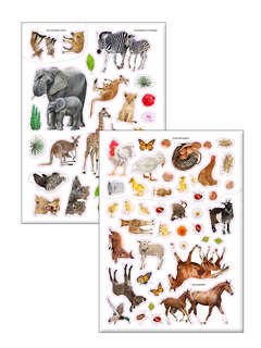 Фотонаклейки Мир животных 3