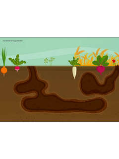 Фотонаклейки Мир животных 6