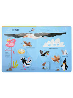 Мои первые открытия: Животные, Интерактивная энциклопедия с окошками 8