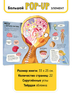 Мои первые открытия: Тело человека, Интерактивная энциклопедия с окошками 4
