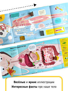 Мои первые открытия: Тело человека, Интерактивная энциклопедия с окошками 5