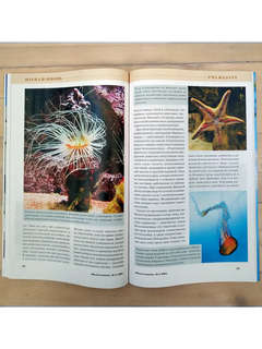 Журнал Наука и жизнь №4 (апрель 2025) 4