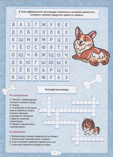 Разгадай-ка: 7-9 лет 5