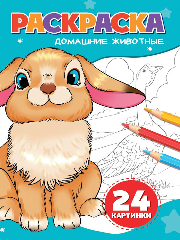 Раскраска '24 картинки: Домашние животные' А5