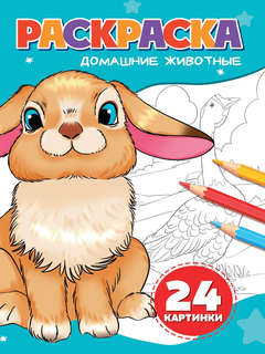 Раскраска '24 картинки: Домашние животные' А5