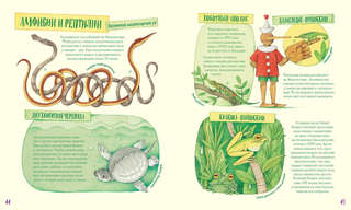 Невероятные носы 7