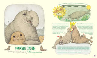 Невероятные носы 6