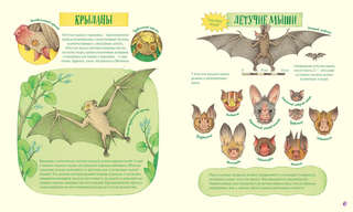 Невероятные носы 5