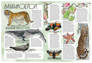 Дикие города 2