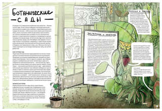 Дикие города 3