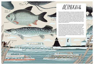 Дикие города 7