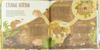 Папа, мама, я - звериная семья 2