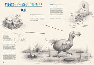 На грани исчезновения: животный мир Земли 10