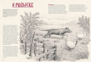 На грани исчезновения: животный мир Земли 11