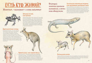 На грани исчезновения: животный мир Земли 13