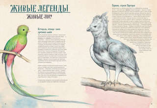 На грани исчезновения: животный мир Земли 14