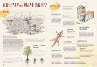 На грани исчезновения: животный мир Земли 15