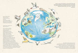 На грани исчезновения: животный мир Земли 3