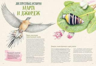 На грани исчезновения: животный мир Земли 4