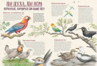 На грани исчезновения: животный мир Земли 5