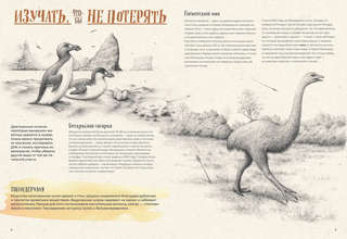 На грани исчезновения: животный мир Земли 6