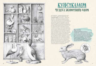 На грани исчезновения: животный мир Земли 7