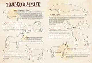 На грани исчезновения: животный мир Земли 9