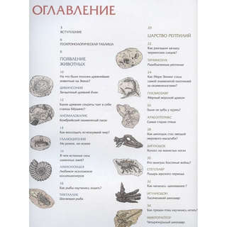 Пешком в историю: Животные затерянного мира 2