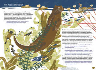Волга: Один год из жизни пресноводного биома 2