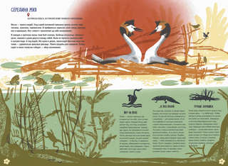 Волга: Один год из жизни пресноводного биома 4