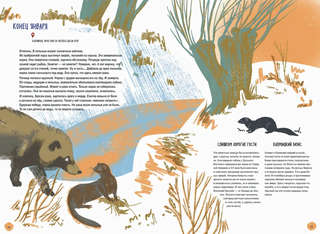 Волга: Один год из жизни пресноводного биома 7